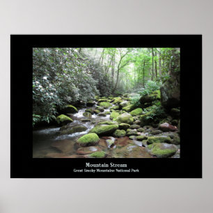 Póster Mountain Stream Gran Poster de Montañas Smoky