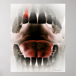 Póster Mouth