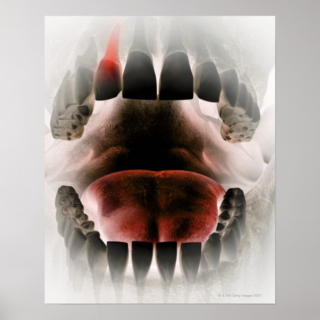 Póster Mouth (Frente)