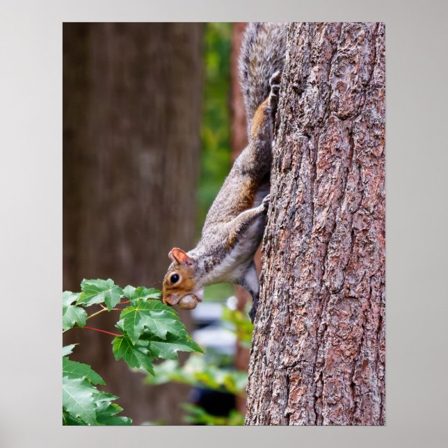 Póster Mouthful (Frente)