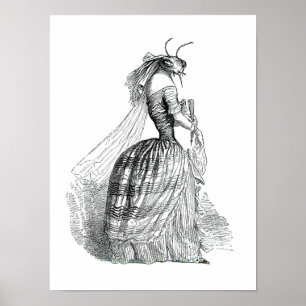 Póster Movimiento del insecto