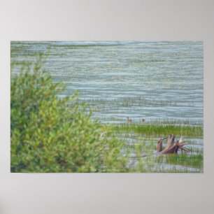 Póster Movimiento Delicado