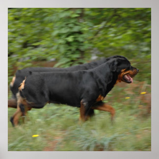 Póster Movin' en el patio