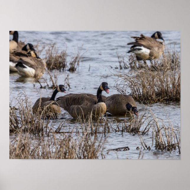 Póster Moving In (Frente)