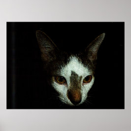 Póster Mr. Bud in Repose