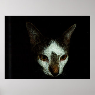 Póster Mr. Bud in Repose