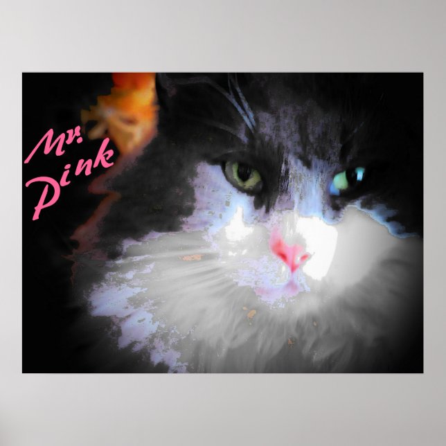 Póster Mr. Pink by djoneill (Frente)