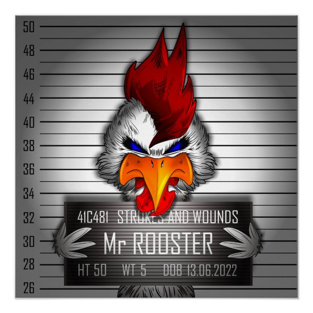 Poster Mr Rooster (Anverso)