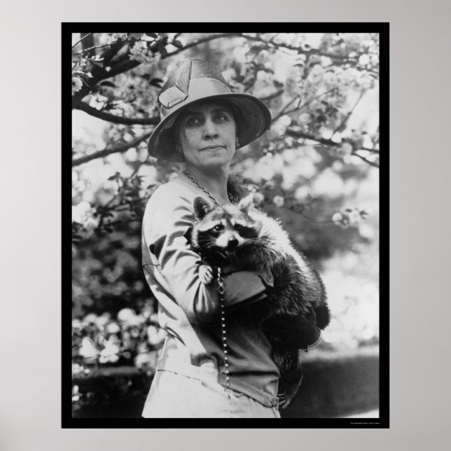 Póster Mrs. Calvin Coolidge with her Raccoon 1923 (Frente)