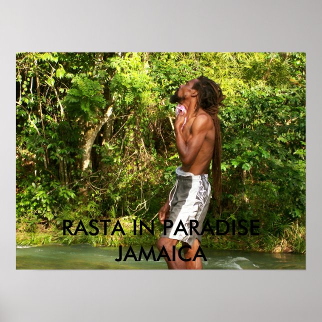 Póster mrsjamrock-p@sbcglobal.net 025, RASTA EN PARADI... (Frente)