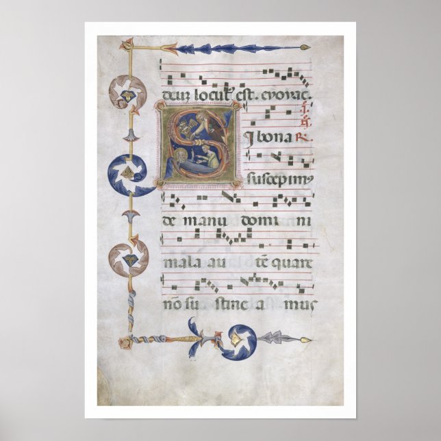 Póster Ms 564 f.13v Página con la descripción 'S' inicial (Frente)
