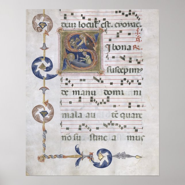 Póster Ms 564 f.13v Página con la descripción 'S' inicial (Frente)