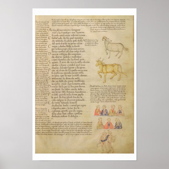 Póster Ms Italien 87 fol.171 Page illustrating astrologic (Frente)