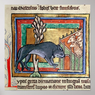 Póster MS Roy A wolf outside a sheep fold