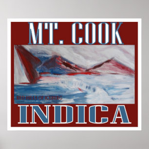 PÓSTER MT COOK INDICA