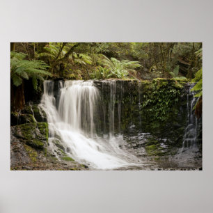 Póster Mt. Field National Park Horseshoe Falls