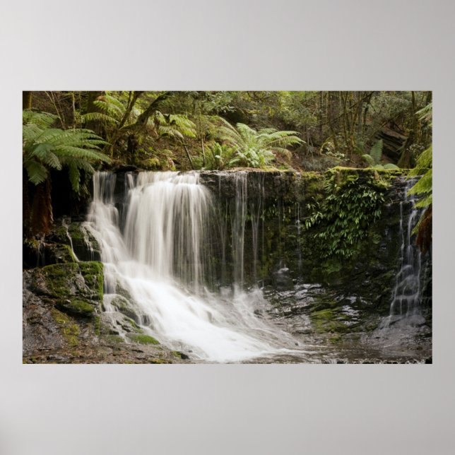 Póster Mt. Field National Park | Horseshoe Falls (Frente)