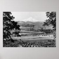 Mt. Hood de Hood River Valley Photograph