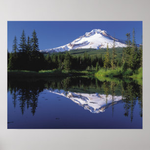 Póster Mt. Hood Y Un Lago Espejo
