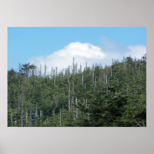 Póster Mt. Mitchell II