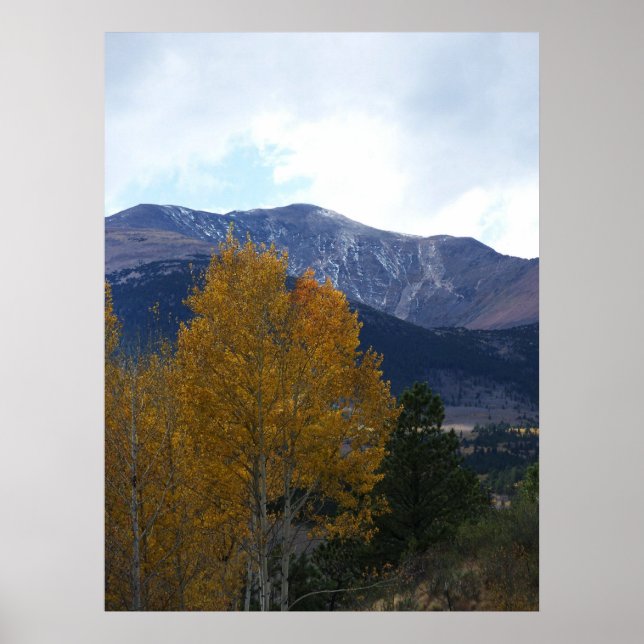 Póster Mt Ouray (Frente)