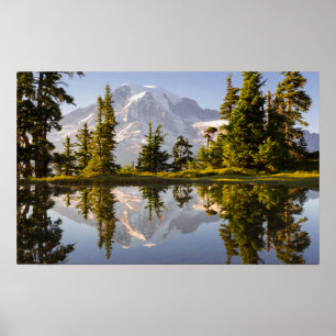 Póster Mt. Rainier reflejado en un tarn cerca de Plummer 