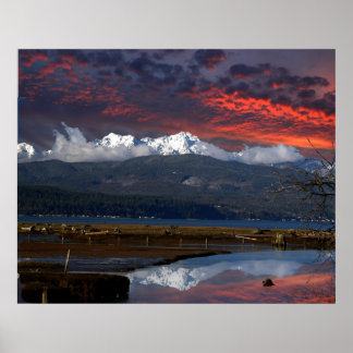 PÓSTER MTS OLÍMPICOS Y CANAL DE SANGRE