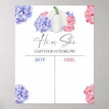 Muchacho o chica sabemos que el género revela la g