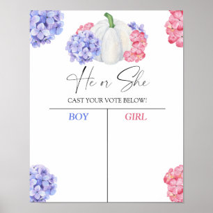 Póster Muchacho o chica sabemos que el género revela la g