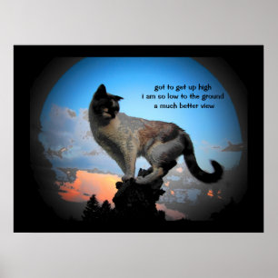 Póster Mucho mejor vista Cat Haiku