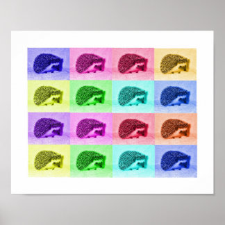 Póster Muchos Hues de Hedgeogs