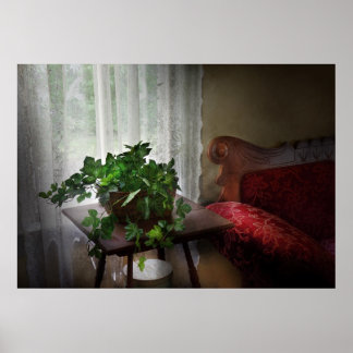 Póster Muebles - Hiedra en una ventana