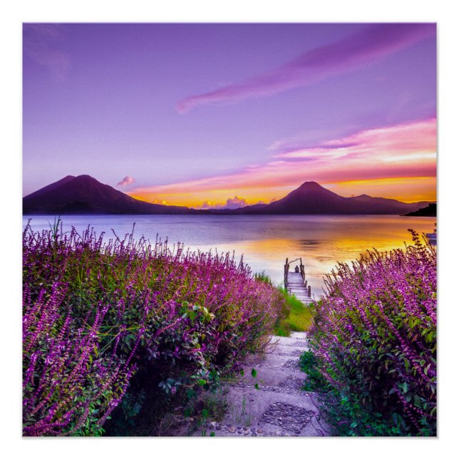 Póster muelle de madera marrón entre el campo de flores d (Anverso)