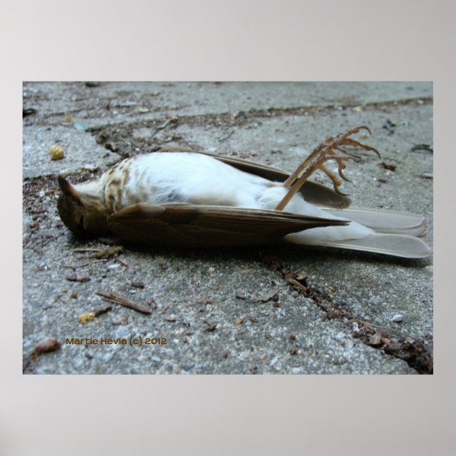 Póster Muerte (Frente)