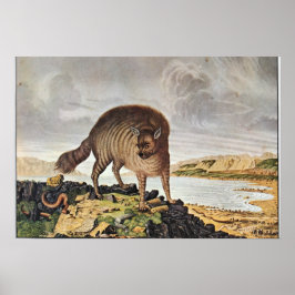 Póster "Muerte gestreifte Hyäne"