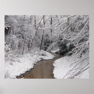 Póster Muerto de invierno