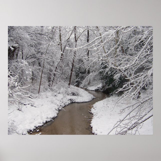 Póster Muerto de invierno (Frente)