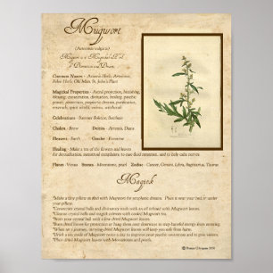 PÓSTER MUGWORT MAGICK HERB