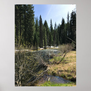 Póster Muir Creek, Oregón