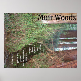 Póster Muir Woods árboles con cita