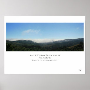 Póster "Muir Woods desde arriba"