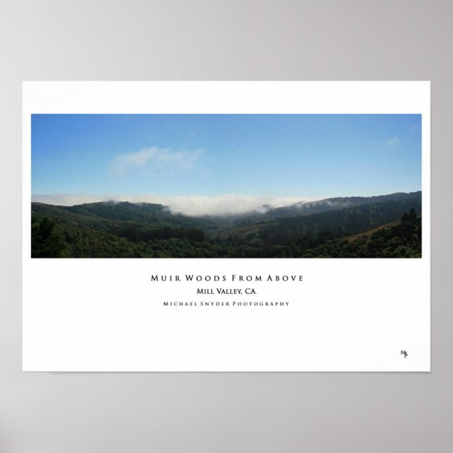 Póster "Muir Woods desde arriba" (Frente)