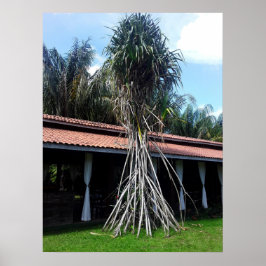 Póster muitas pernas