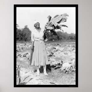 Póster Mujer de América del africano con el tabaco 1912