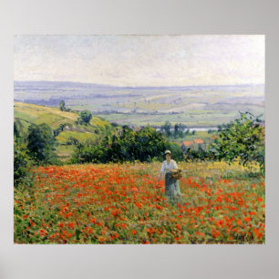 Póster Mujer en un campo de adormidera