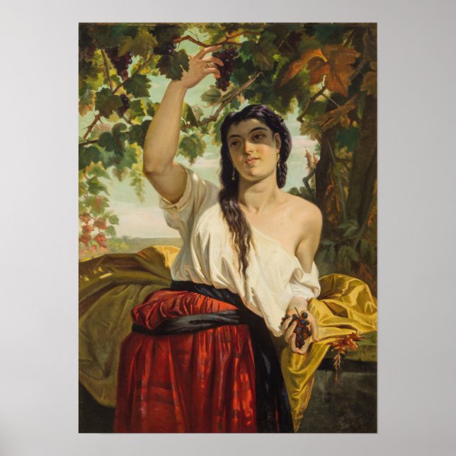 Póster Mujer italiana recogiendo uvas (cosecha de verano) (Frente)