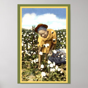 Póster Mujer negra del campo del algodón del vintage de