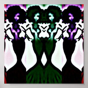 Póster mujeres adultas