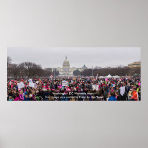 Póster Mujeres del Washington DC poster de marzo de 2017