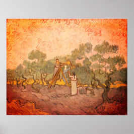Póster Mujeres recogiendo aceitunas de van Gogh: